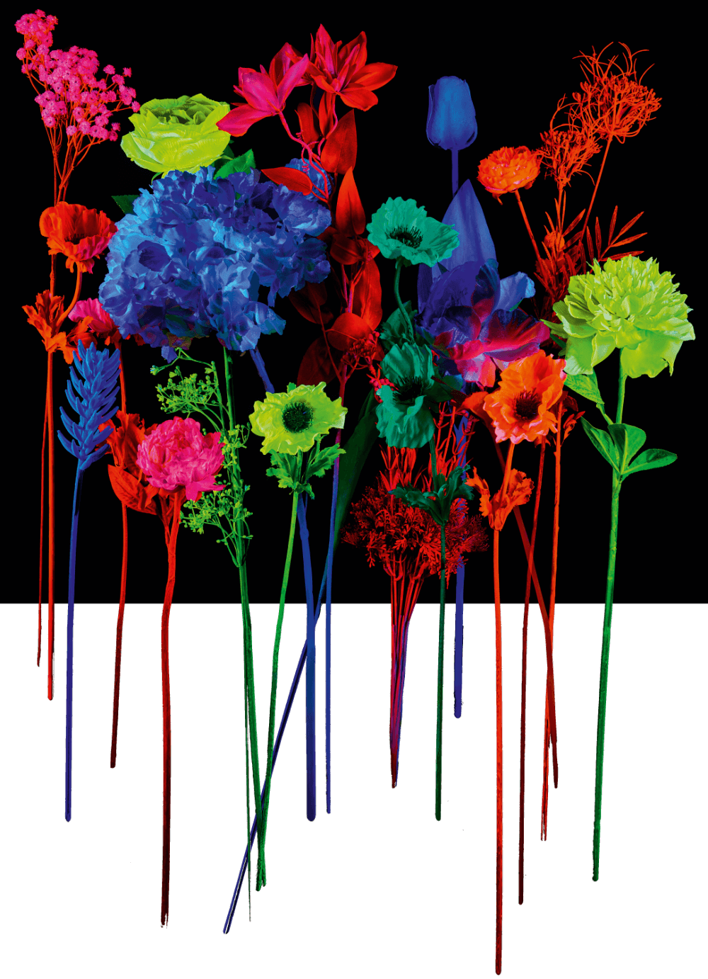 bouquet of colorful flowers