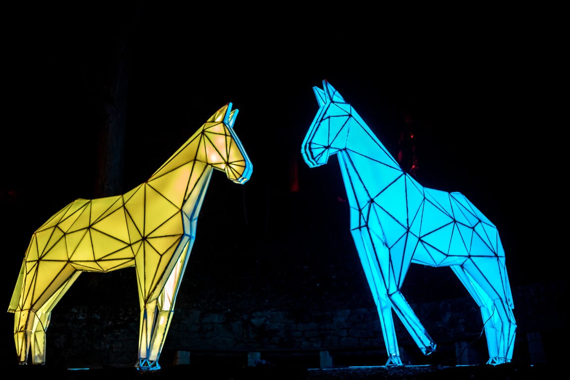 Luminous Horses / Ribnjak Park