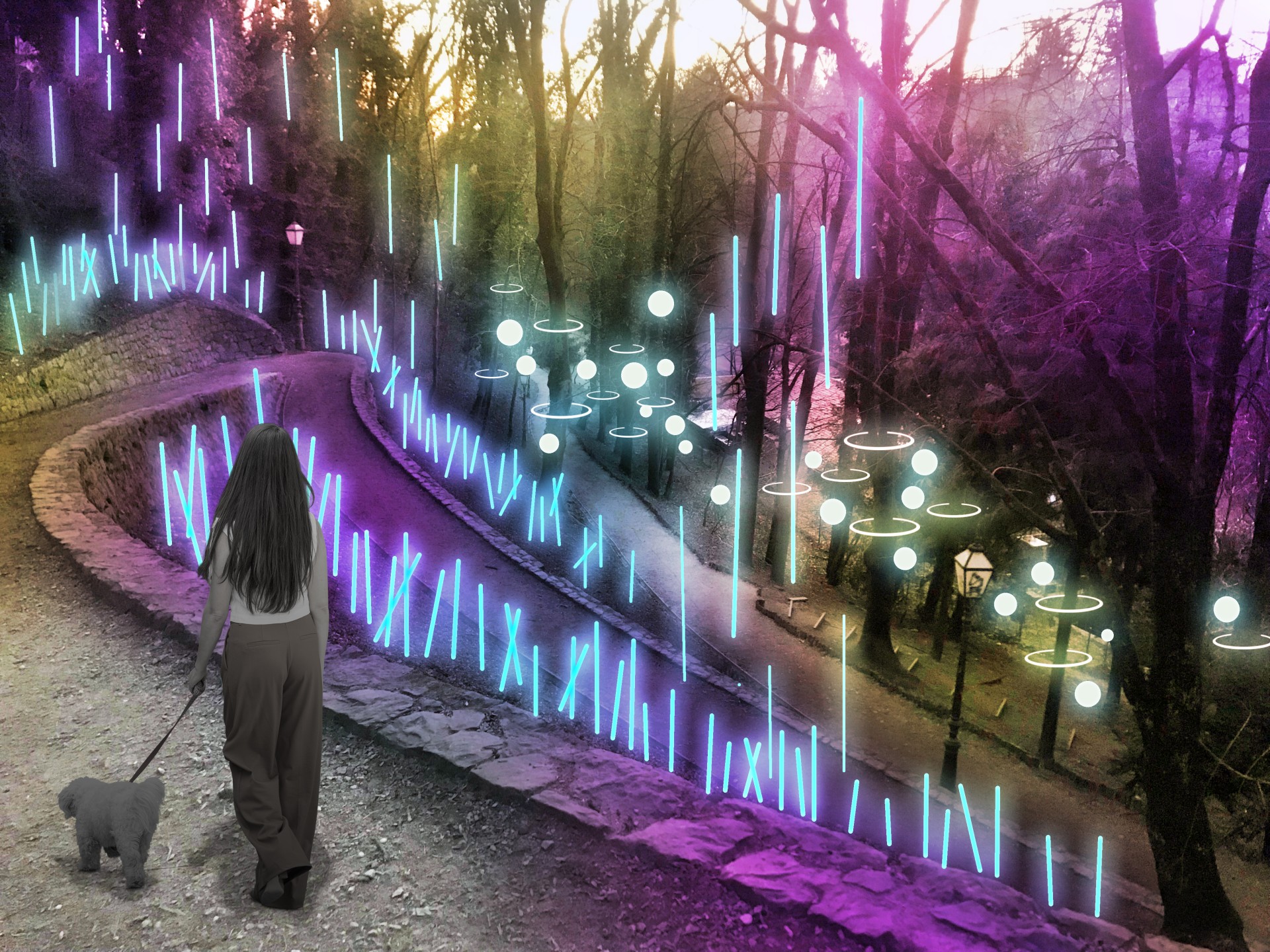 The secret life of forests / Vraz's Promenade